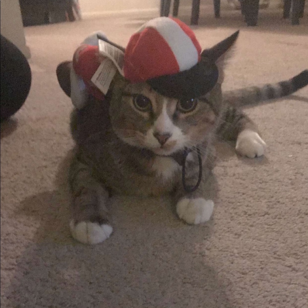 Meet your Posher, Aleysha Jaramillo